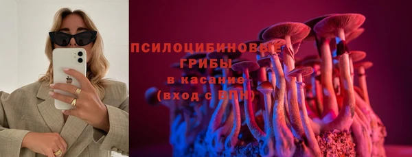 молекула духа Инсар
