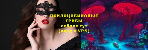 ALPHA PVP Иннополис
