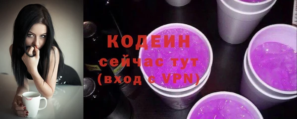 молекула духа Инсар