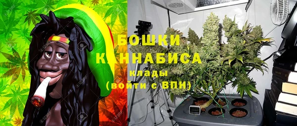 молекула духа Инсар