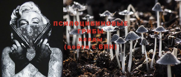 MESCALINE Инта