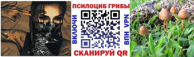 Купить закладки  Обь  Галлюциногенные грибы Psilocybine cubensis 